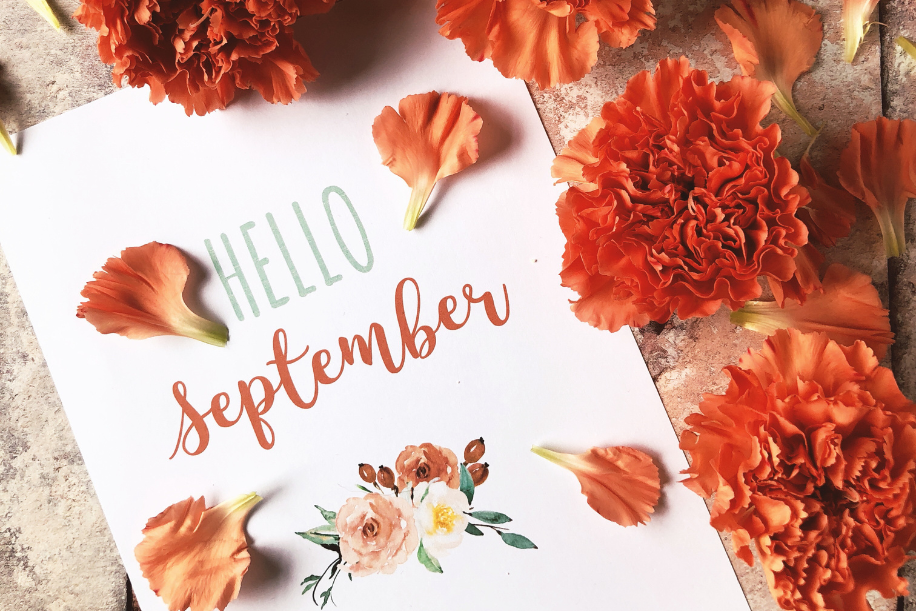 Travailler sereinement avec ANAKA Consulting à Strasbourg