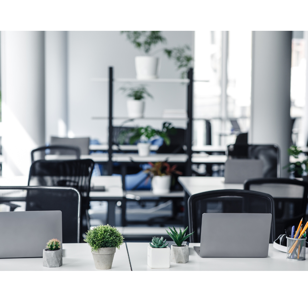 Gestion de l'absentéisme par ANAKA Consulting, Organisme de formations